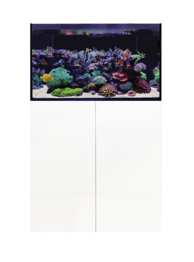 D-D Aqua-Pro Reef 900- WHITE GLOSS