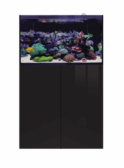 D-D Aqua-Pro Reef 900- BLACK GLOSS