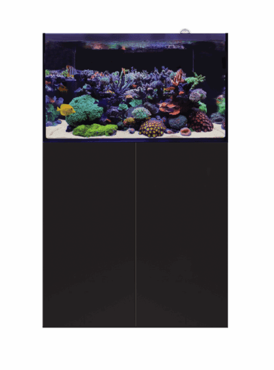 D-D Aqua-Pro Reef 900- BLACK SATIN