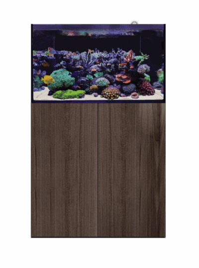 D-D Aqua-Pro Reef 900- JAPANESE PEAR GLOSS
