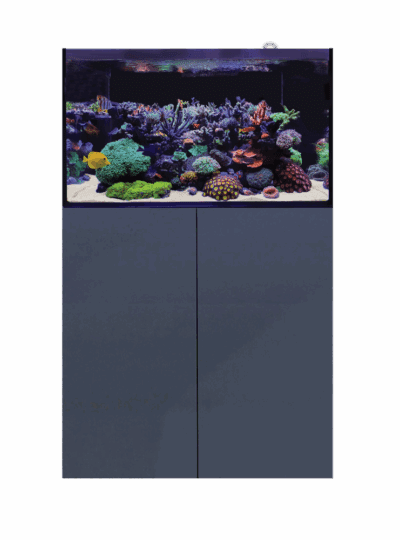 D-D Aqua-Pro Reef 900- ANTHRACITE MATT