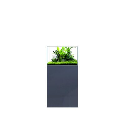D-D Aqua-Pro Aquascaper 600 – ANTHRACITE GLOSS