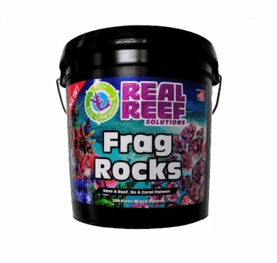 Real Reef Frag Rocks – 200 Stk.