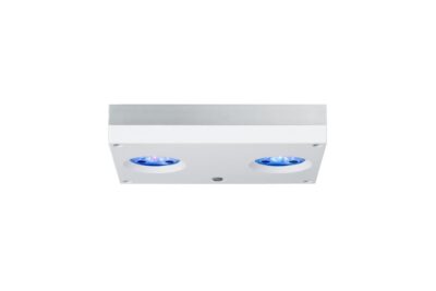 AI Hydra HD 32 LED weiss