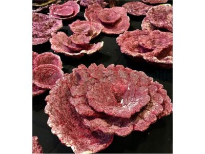 Real Reef Rock – Plate Corals (10 Stk.)